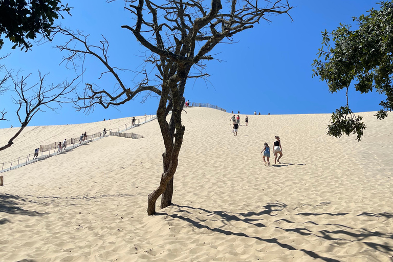 From Bordeaux Half-Day in Saint-Emilion or Arcachon in a Private Van Saint-Emilion Tour