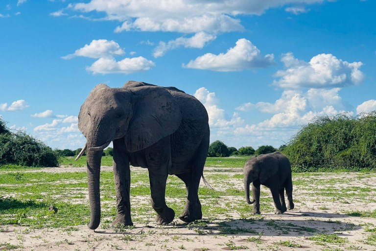 Safari à dos de rhinocéros