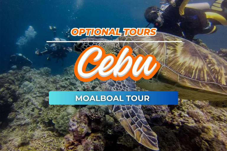 Cebu: Sardines, Sea Turtles, and Kawasan Falls Tour