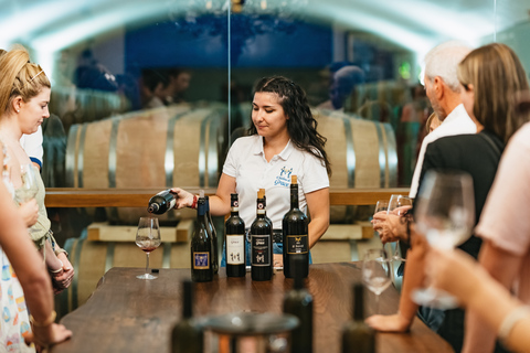 Florence : visite des vignobles du Chianti avec dégustationVisite en groupe en anglais