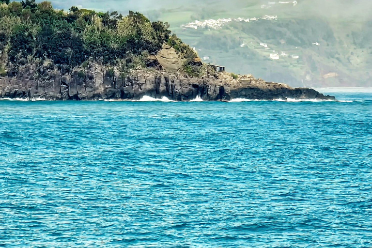 Furnas: Tour di un giorno delle sorgenti termali e della piantagione di tè con pranzoFurnas: tour di un giorno alle sorgenti termali e alla piantagione di tè con pranzo