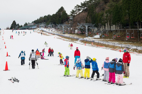 Osaka: Rokko Snow Park – wycieczka 1-dniowa z opcjonalną lekcją jazdy na nartachD (SANKI)