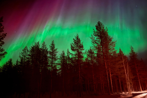 Rovaniemi: Northern Lights Hunt with Campfire & Snacks