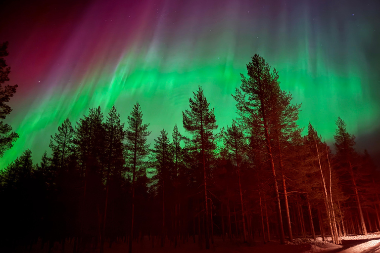 Rovaniemi: Northern Lights Hunt with Campfire & Snacks