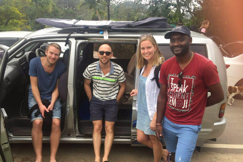 Kandy: Nuwara Eliya Transfer with Tea Factories & Falls Kandy–Nuwara Eliya drop with Tea Factory & Waterfall Stop