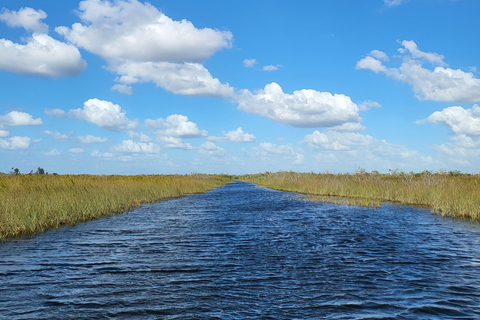 Everglades : tour en bateau avec transport&amp; entrée inclus