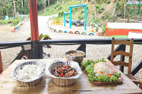 Puerto Plata: Coffee Plantation and Cacao Farm Tour