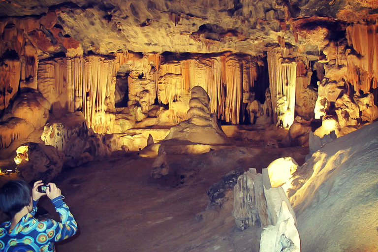 Da Città del Capo: 3 giorni di Garden Route e safari in 4x4Tour di gruppo condiviso con soggiorno in ostello con dormitorio condiviso