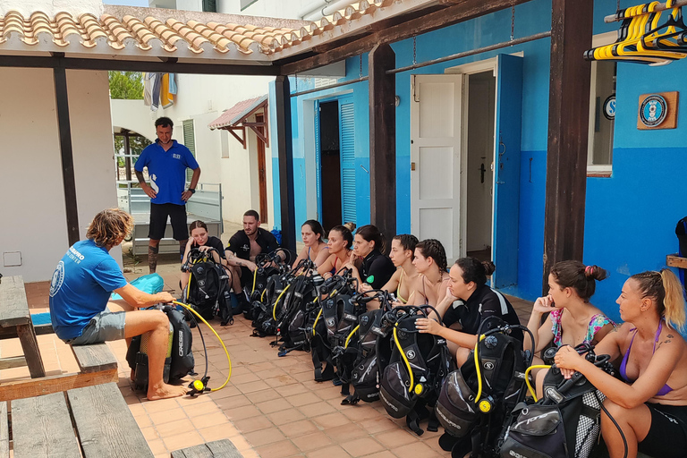 Menorca: Baptism Scuba Diving in Marine Reserve