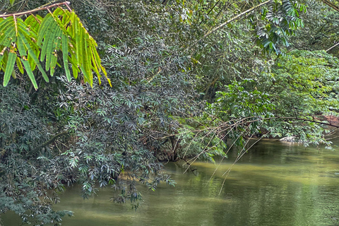 Medellín: Magical Tubing Río Arenal San Rafael