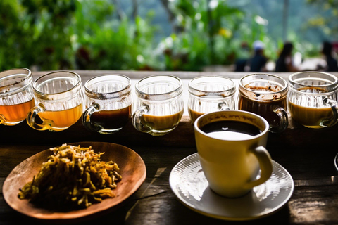 Ubud: Tirta Empul Temple Melukat Ritual & Coffee Tour