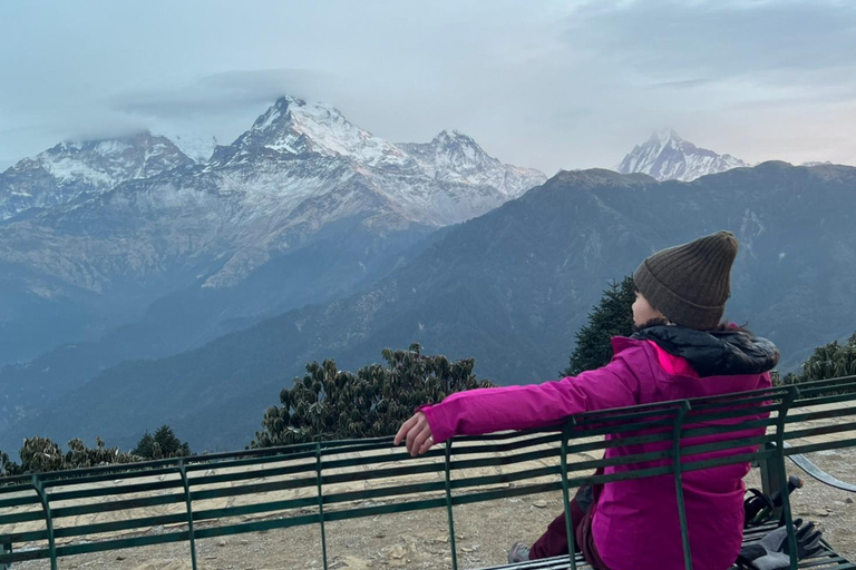 De Pokhara: Caminhada guiada de 5 dias por Poon Hill, Mulde Hill e Dobato