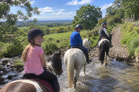Northern Ireland: North Antrim Horseback Riding Experience