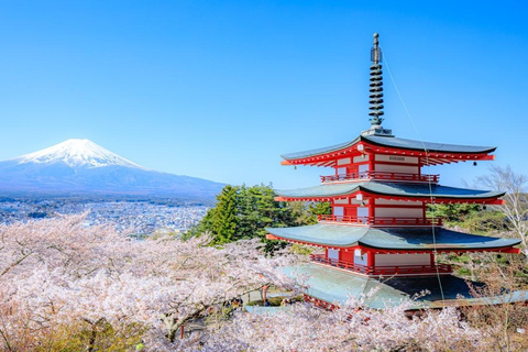 Mt.Fuji Private Tour; English Guide Fully Customizable