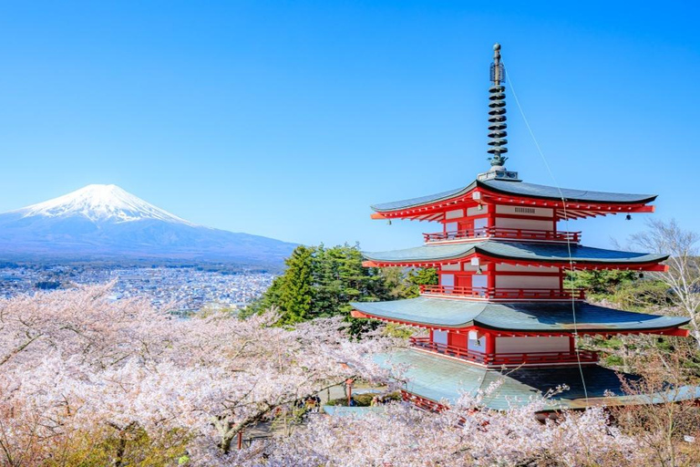 Mt.Fuji Private Tour; English Guide Fully Customizable