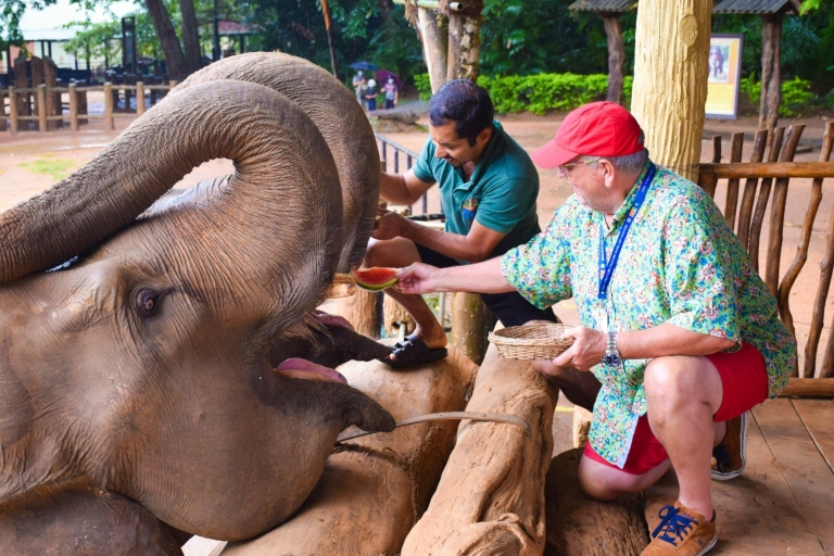 Vanuit Kandy: Pinnawala en Botanische Tuin Tour per Tuk Tuk