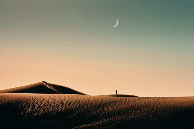 Under the Stars: Doha Night Desert Quest & Camel Ride Shared Night Safari with Hotel Pickup