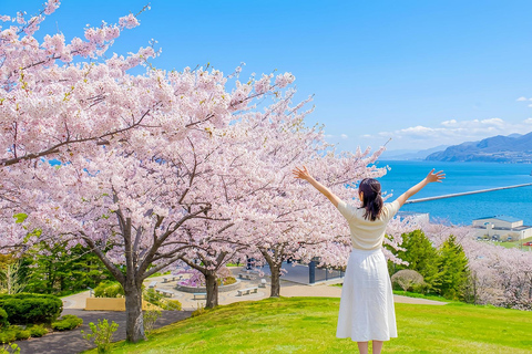 Hokkaido Cherry Blossom Limited:Cape Kamui&Temiya Day Tour Depart from Gate 31 of Odori Park Subway Station