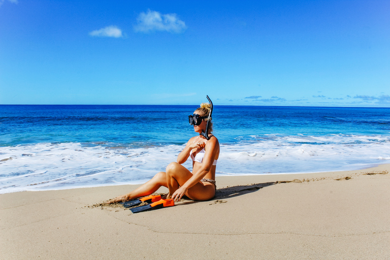 Puerto Rico: Snorkeling with Turtles Adventure