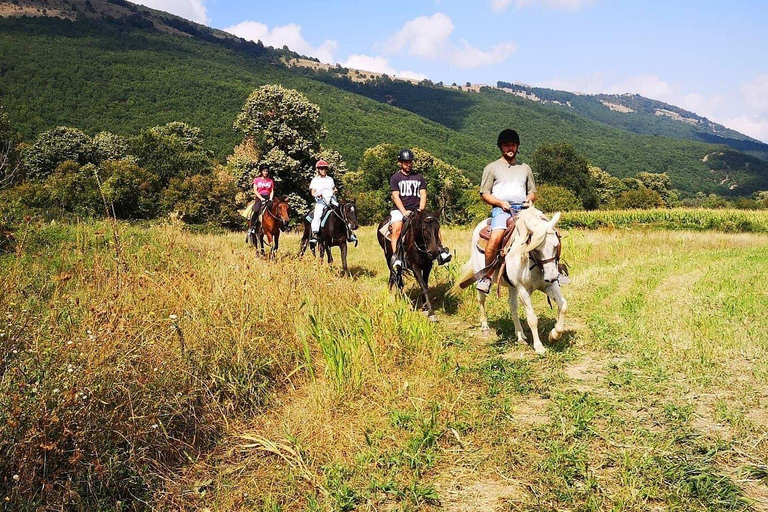 Pozar Thermal Baths: Ridtur från ThessalonikiPozar termalbad: Ridtur från Thessaloniki