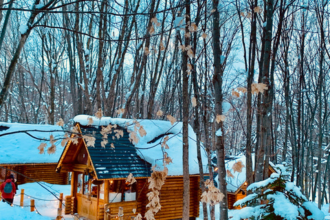 Hokkaido Tour：Asahiyama Zoo &Biei Waterfalls &Ningle Terrace Sapporo TV Tower 1F Information Center Departure