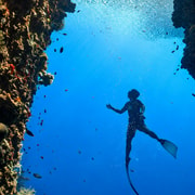Coron: WWII Shipwrecks & Pass Island Snorkeling Tour