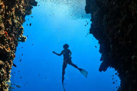 Coron: WWII Shipwrecks & Pass Island Snorkeling Tour - Image 3