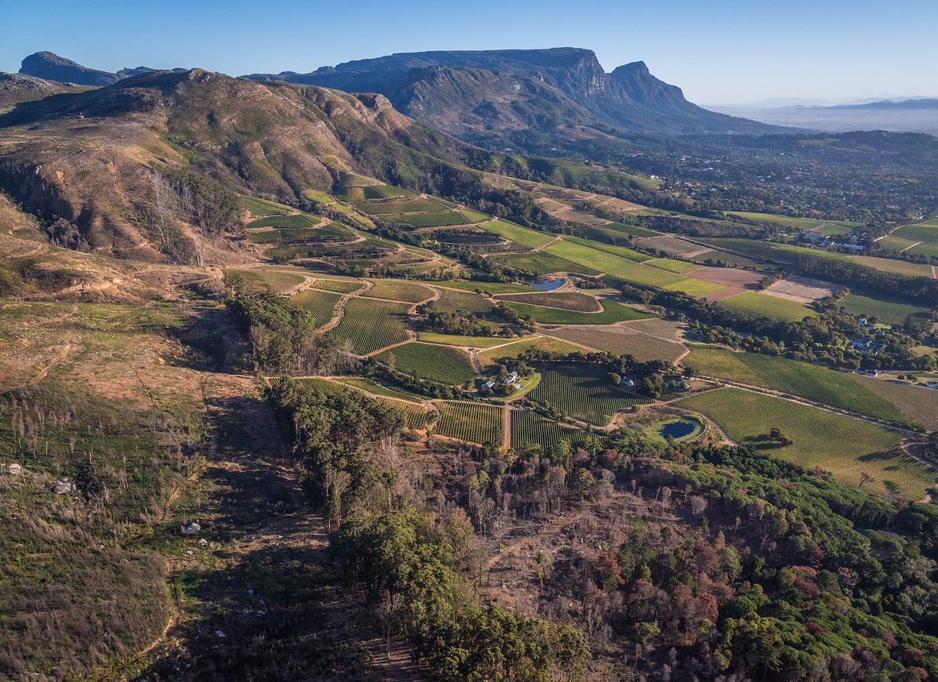 Cape Town: 2 Oceans Helikopterflyvning med billet til bådtur