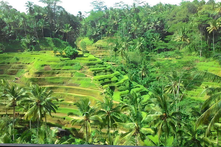 Bali : Votre chauffeur privé pour une visite personnalisée