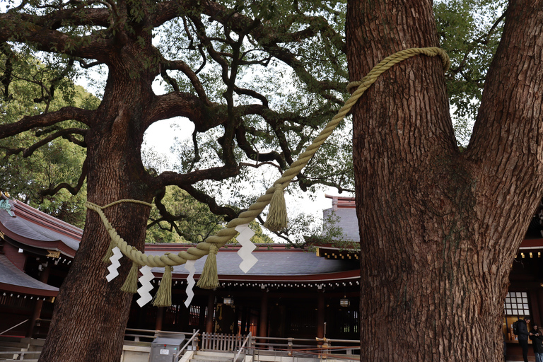 Tokyo Morning Highlights: Shibuya, Asakusa, Meiji-SchreinPrivate Tour