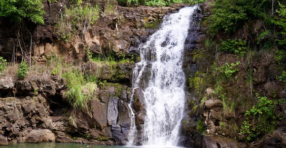 Private Tour Oahu with Waimea Waterfall & Botanical Garden