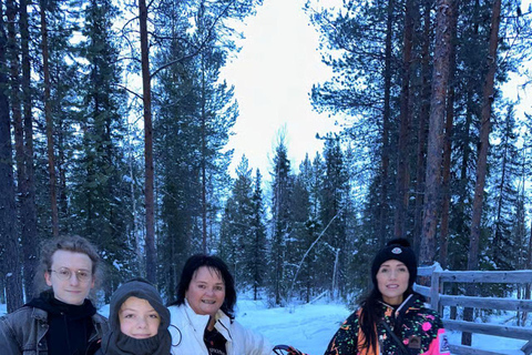 Levi: Meet Reindeer and Visit Husky Kennel