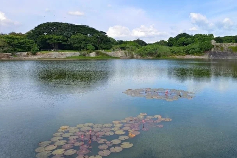 Bengaluru: Lalbagh Botanical Garden Guided Tour