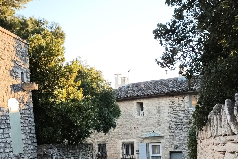 夏季之旅，4天/ 3晚，骑电动自行车探索普罗旺斯夏季之旅，4天/3夜，骑电动自行车探索普罗旺斯