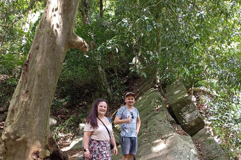 Från Kandy: Sigiriya dagstur med elefantsafari (grupp)