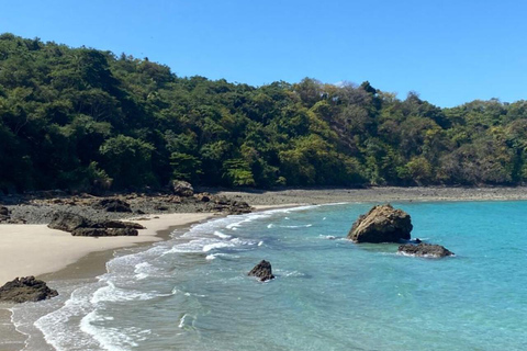 Panama City: Otoque Island Full-Day Tour with Local Lunch So, this is the Otoque Island Whale Watching Experience (seasonal)!