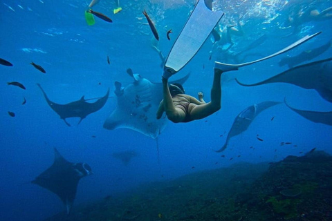Nusa Penida: Snorkeling Adventure at Manta Point Sharing Boat: Manta Point & Gamat Bay Adventure