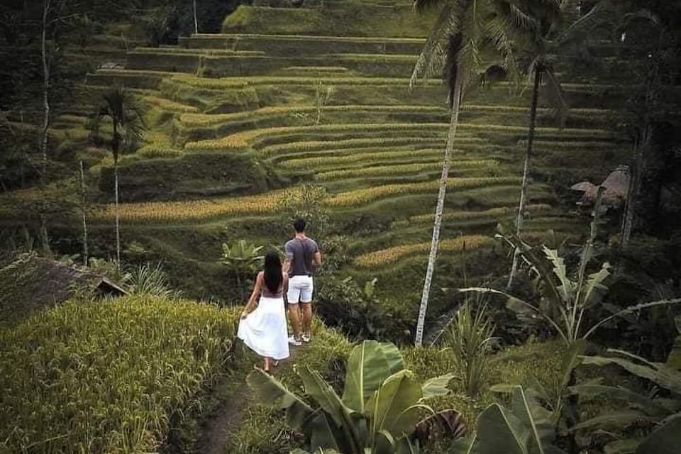 Ubud Horse Riding, Rice terrace, Water Temple & Penglipuran GetYourGuide