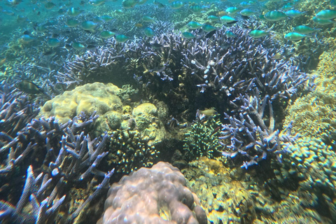 Lombok Private Snorkeling: Hidden Southwest 5 Gili Islands Lombok: Private Snorkeling Gili Asahan (5 Gilis) + Lunch