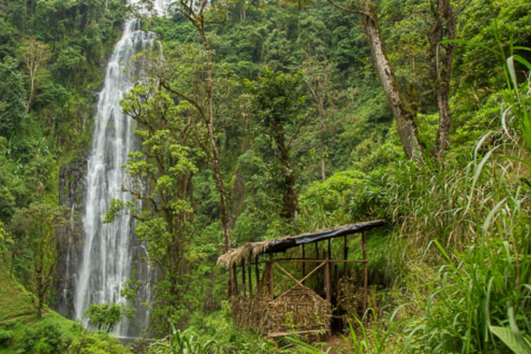 Kilimandscharo: Materuni-Wasserfälle & Kaffeetour mit LunchWasserfälle und Kaffeetour mit Abholung in Arusha