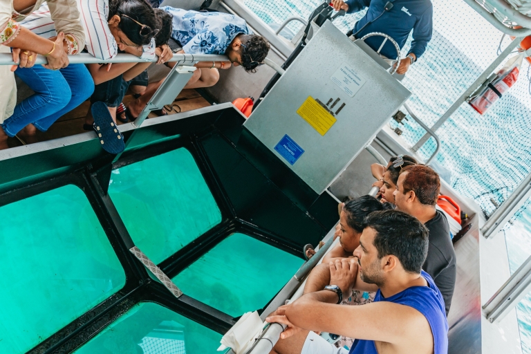 Cairns: excursion d'une journée avec tuba en bateau à fond de verreTour semi-sous-marin