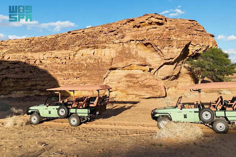 Hegra Tour : Le premier refuge d&#039;AlUla pour les amoureux de la nature et de la vie sauvage