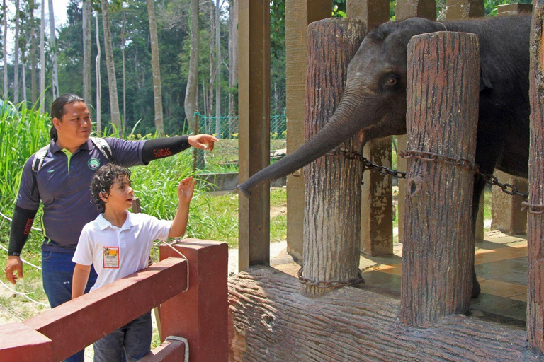 Excursion d'une journée à Kuala Lumpur : grottes de Batu et sanctuaire des éléphants