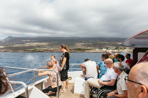 Depuis Adeje : croisière baleines et dauphins avec déjeunerVisite guidée sans prise en charge à l’hôtel