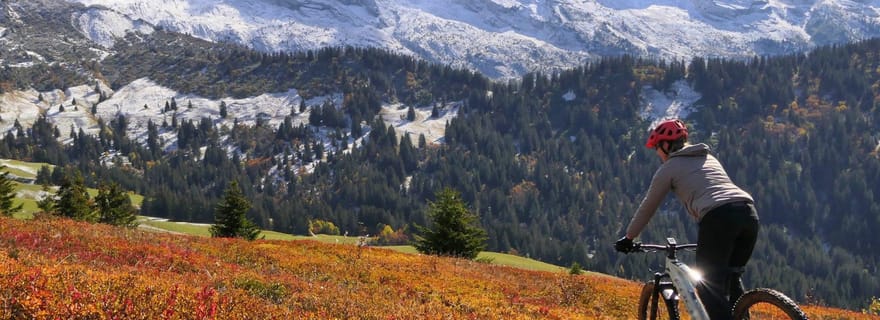 Instagram Safari “Big Five” des Annecy Mountains en E-Bike/VTT électrique
