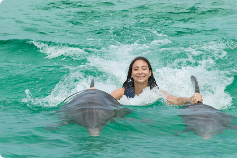 Punta Cana: Pływanie z delfinami i rekinami