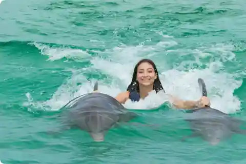 Punta Cana: Dolphin Royal Swim