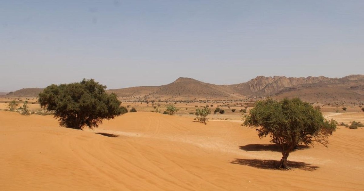 Agadir: Sahara Desert & Tiznit Medina Privet Tour & Lunch | GetYourGuide