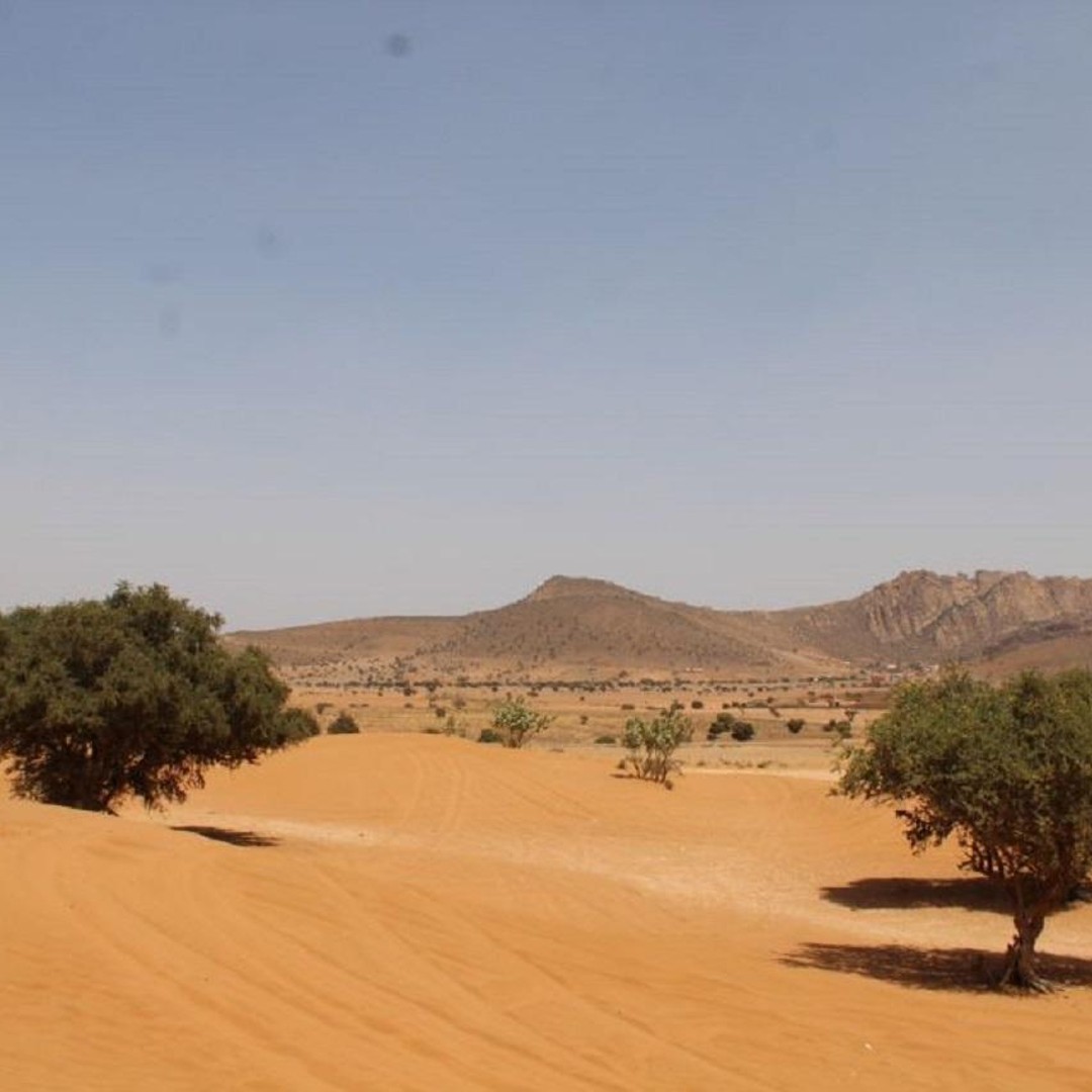 Agadir : Désert du Sahara et Médina de Tiznit : visite privée et déjeuner