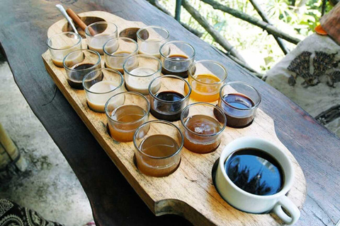 Ubud: Private Day Tour with Waterfall and Rice Terrace